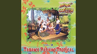 Descargar Musica Tropical De Tabasco Pepper